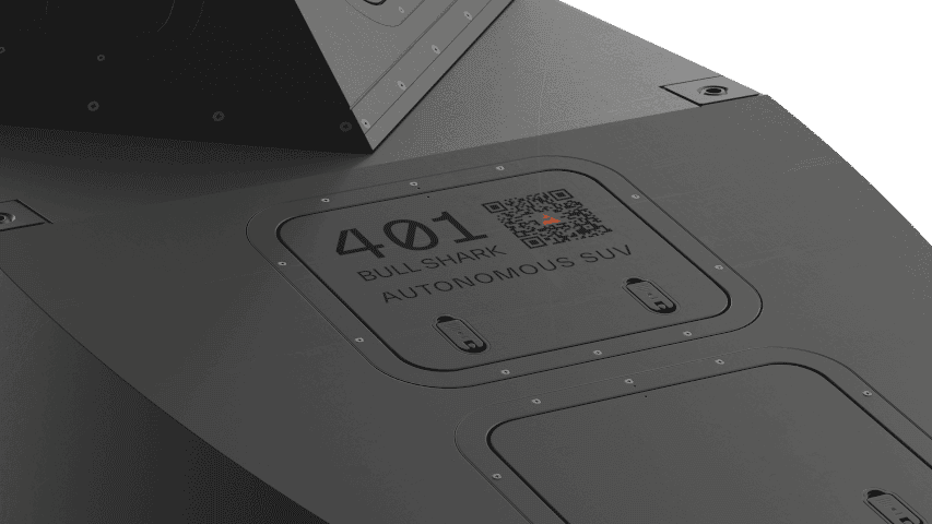 Alligator — view 3