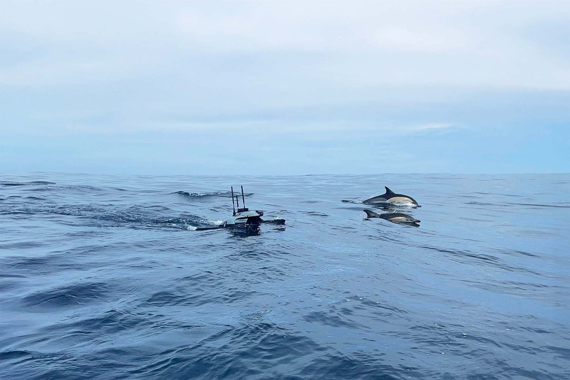 Sonobot 5 USV — view 3