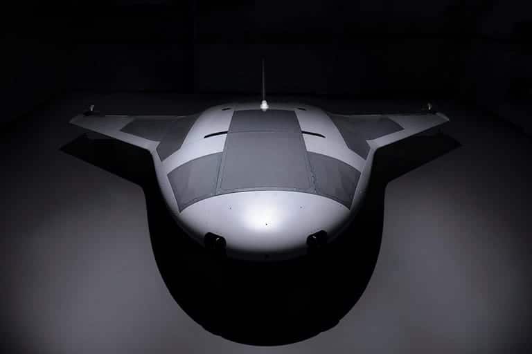 Manta Ray — view 2
