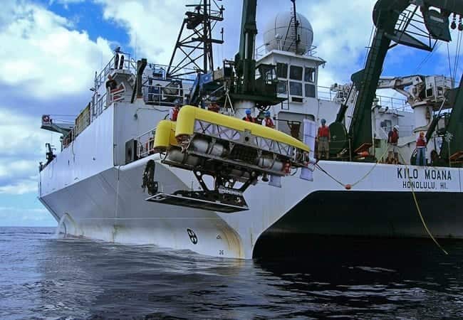 Nereus — view 2
