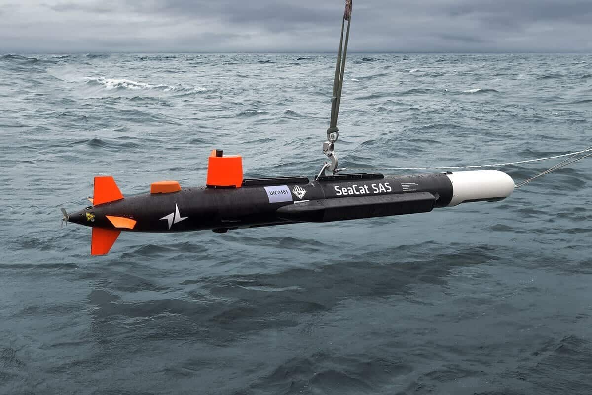 SeaCat — view 1