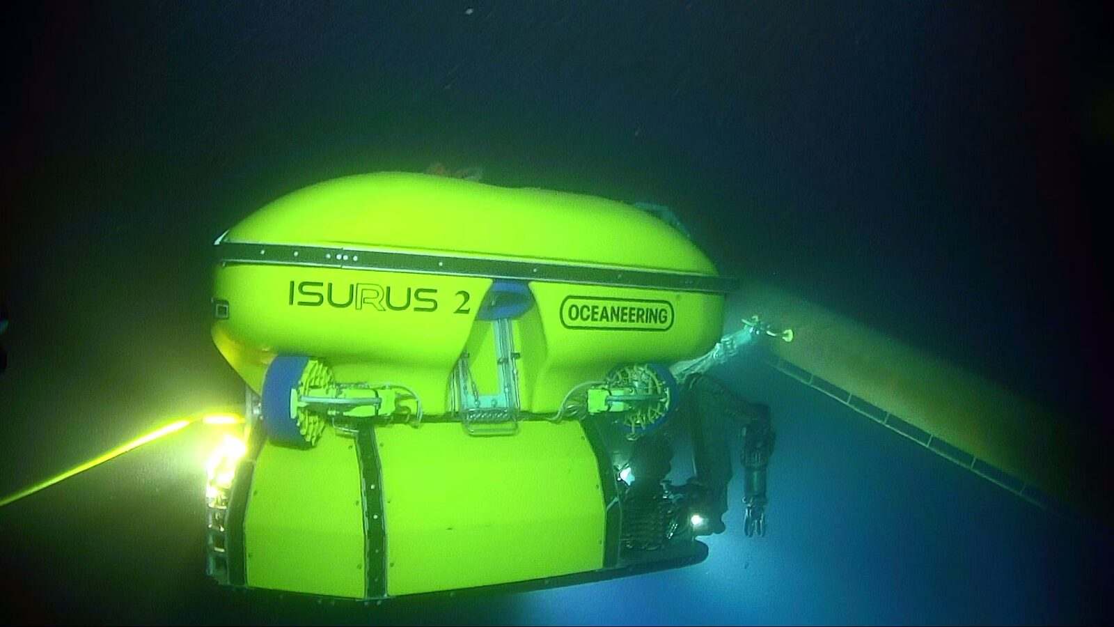 Isurus — view 1