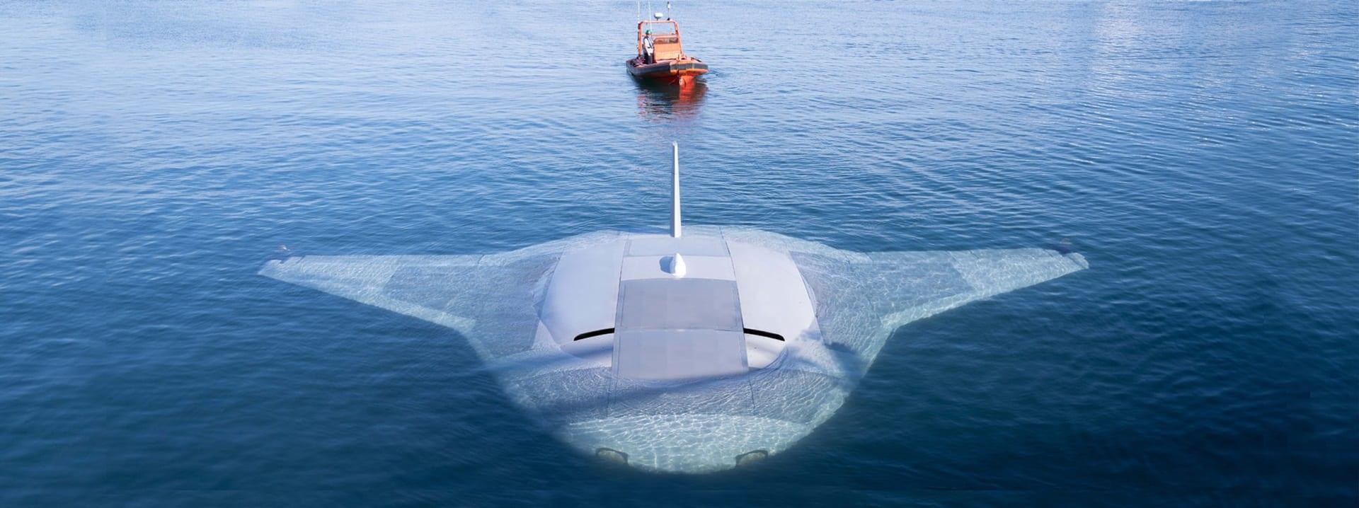 Manta Ray